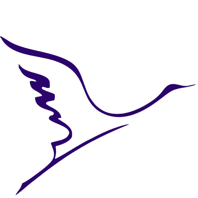 درنا نت کافی نت درنا